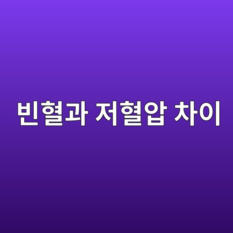 빈혈과 저혈압은 어떻게 다를까? 어지럼증이 생길 때 확인할 차이점 3 ebb988ed9888eab3bc eca080ed9888ec9595 ecb0a8ec9db4 1788163031