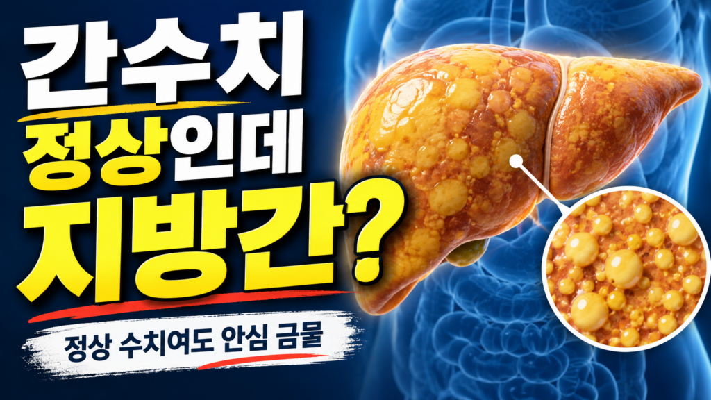 간수치 정상인데 지방간?