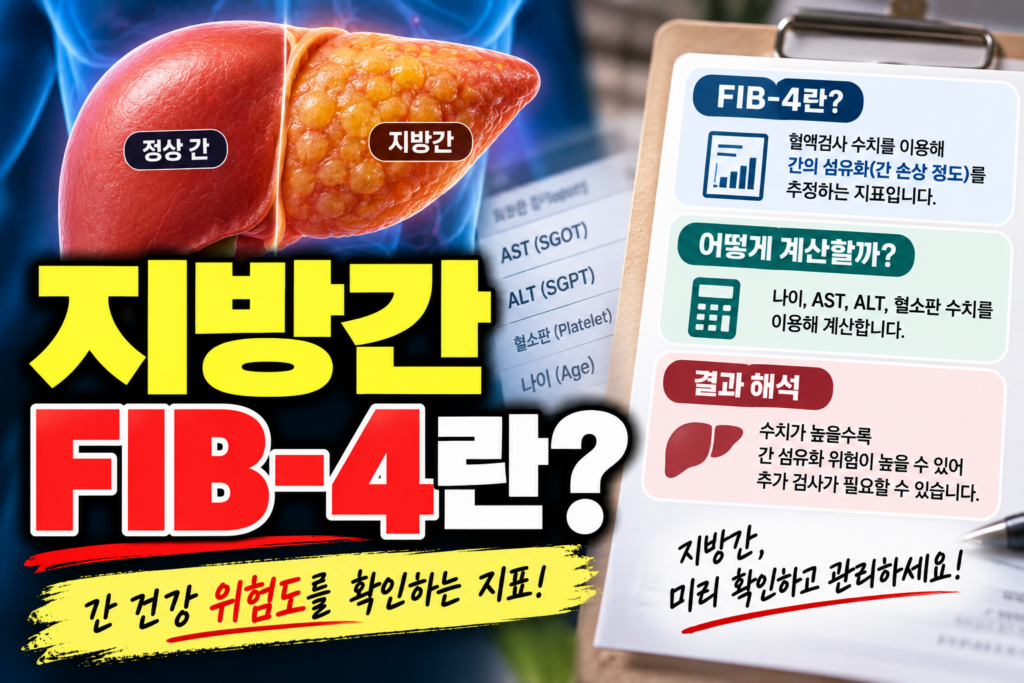 지방간 FIB-4란?