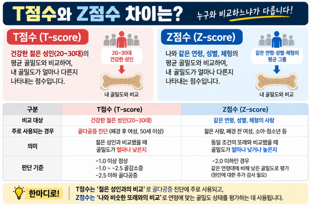 골다공증 T점수와 Z점수 차이 1 골다공증 T점수와 Z점수 차이