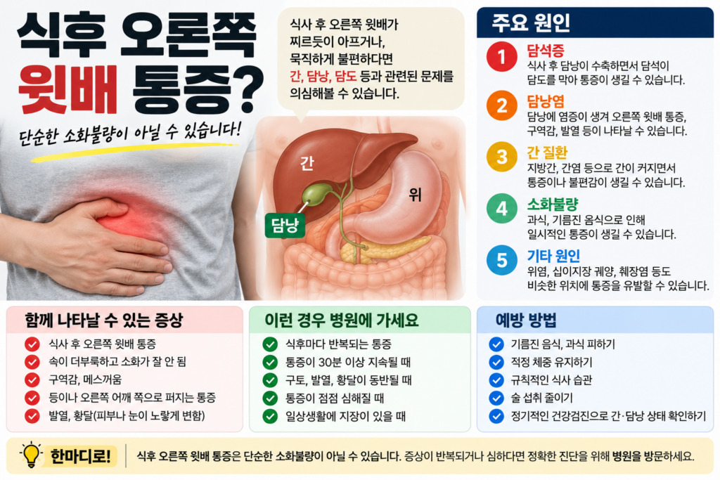 담석증 식후 오른쪽 윗배가 아픈 이유