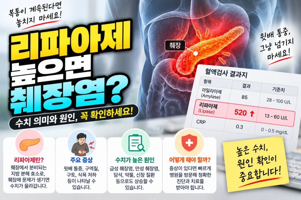 췌장염 리파아제 수치가 높게 나오는 이유