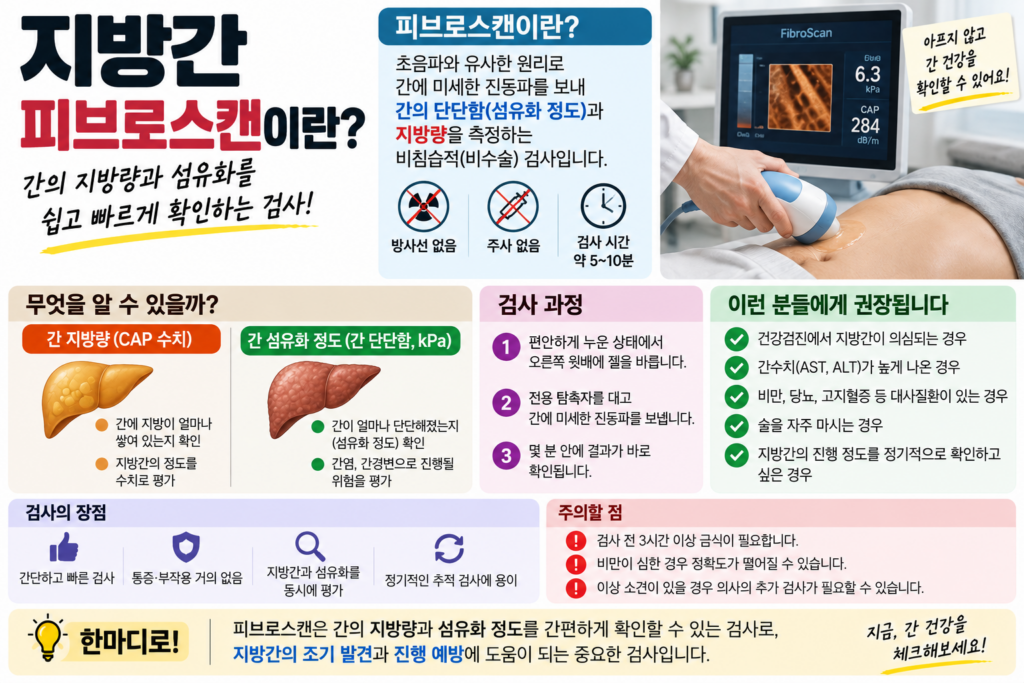 지방간 피브로스캔으로 확인하는 간 상태 1 지방간 피브로스캔으로 확인하는 간 상태