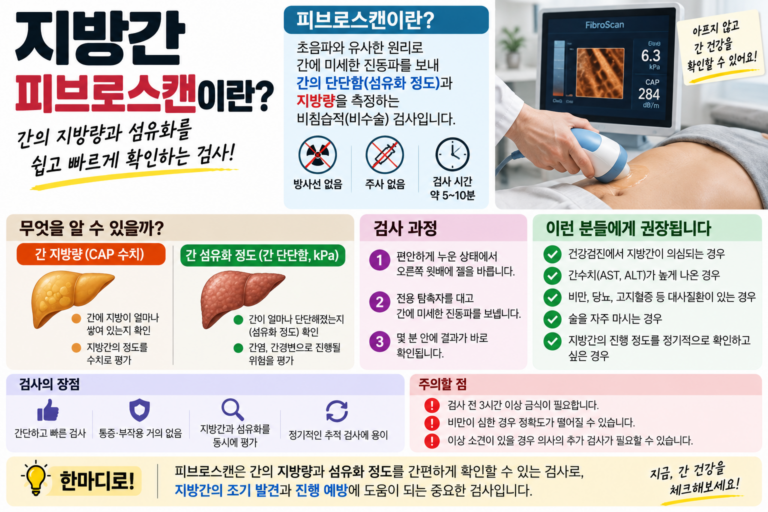 지방간 피브로스캔으로 확인하는 간 상태 12 지방간 피브로스캔으로 확인하는 간 상태