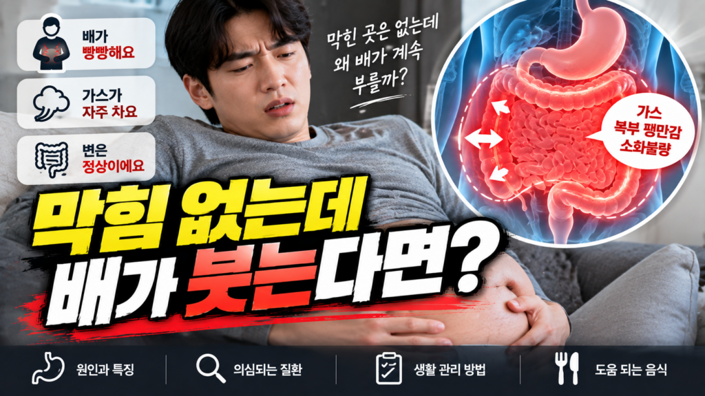 장 가성폐쇄 막힌 곳 없이 배가 붓는 이유
