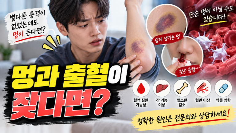 비타민K 결핍 멍과 출혈이 잦아지는 이유