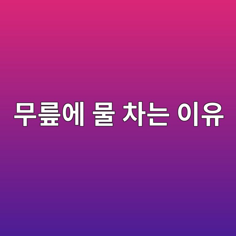 무릎이 붓고 물이 차는 이유는? 반복되는 무릎 부종에서 확인할 질환 2 ebacb4eba68eec9790 ebacbc ecb0a8eb8a94 ec9db4ec9ca0 1788193842
