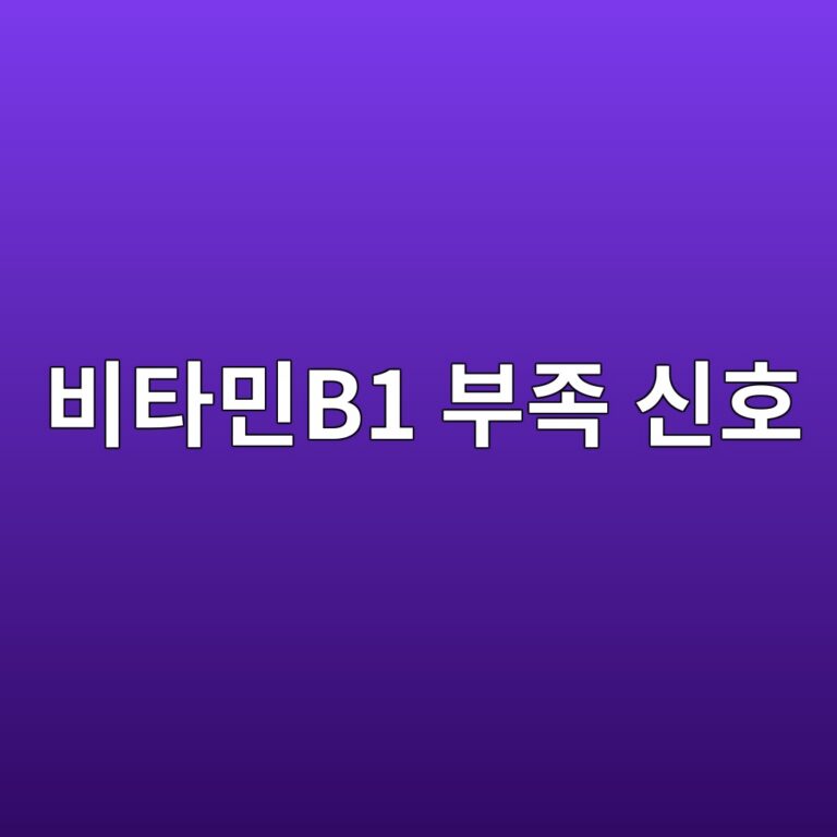 비타민B1이 부족하면 나타날 수 있는 피로·저림·식욕저하 증상 1 ebb984ed8380ebafbcb1 ebb680eca1b1 ec8ba0ed98b8 1788515326