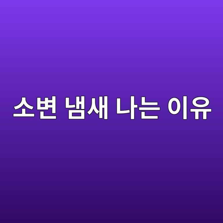 소변 냄새가 갑자기 심해지는 이유는? 수분 부족부터 질환까지 확인할 원인 3 ec868cebb380 eb8384ec8388 eb8298eb8a94 ec9db4ec9ca0 1788420060