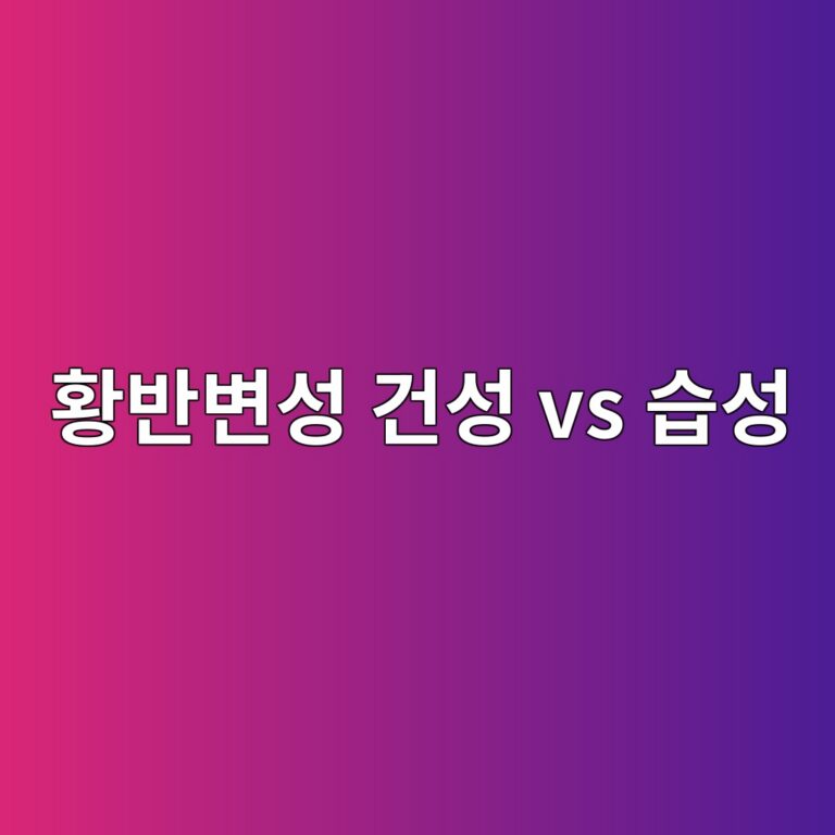 황반변성 건성과 습성은 무엇이 다를까? 6 ed99a9ebb098ebb380ec84b1 eab1b4ec84b1 vs ec8ab5ec84b1 1789052354