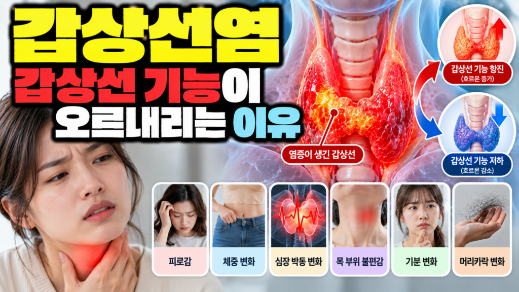 갑상선염 갑상선 기능이 오르내리는 이유