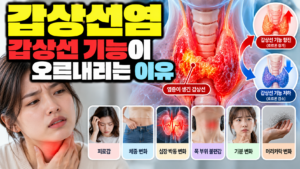 갑상선염 갑상선 기능이 오르내리는 이유