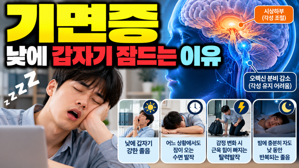 기면증 낮에 갑자기 잠드는 이유